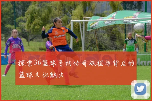 探索36篮球号的传奇旅程与背后的篮球文化魅力