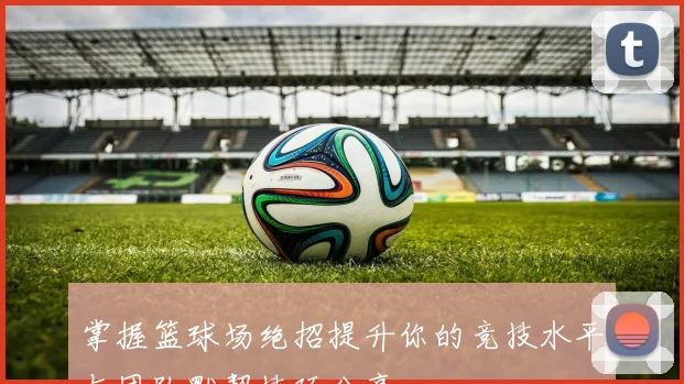 掌握篮球场绝招提升你的竞技水平与团队默契技巧分享