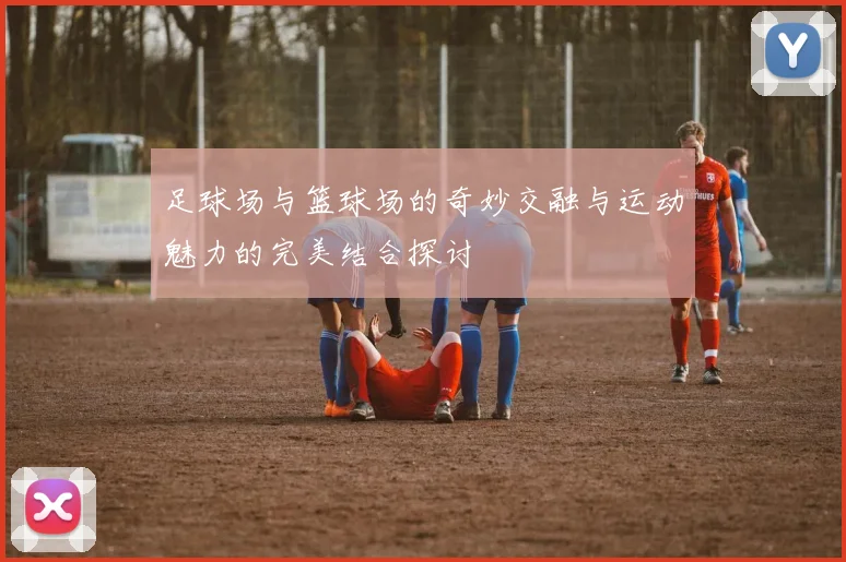 足球场与篮球场的奇妙交融与运动魅力的完美结合探讨